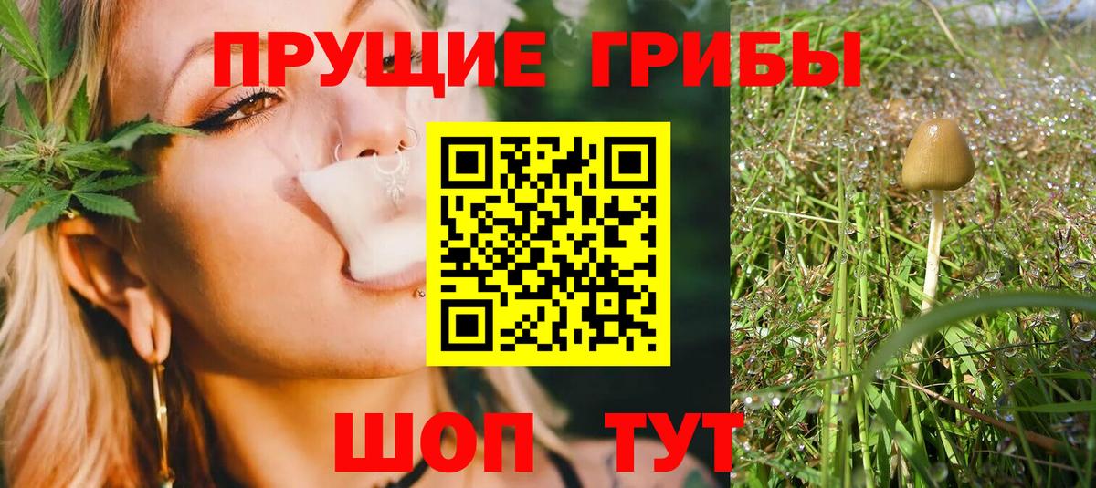 Псилоцибиновые грибы MAGIC MUSHROOMS Кимовск