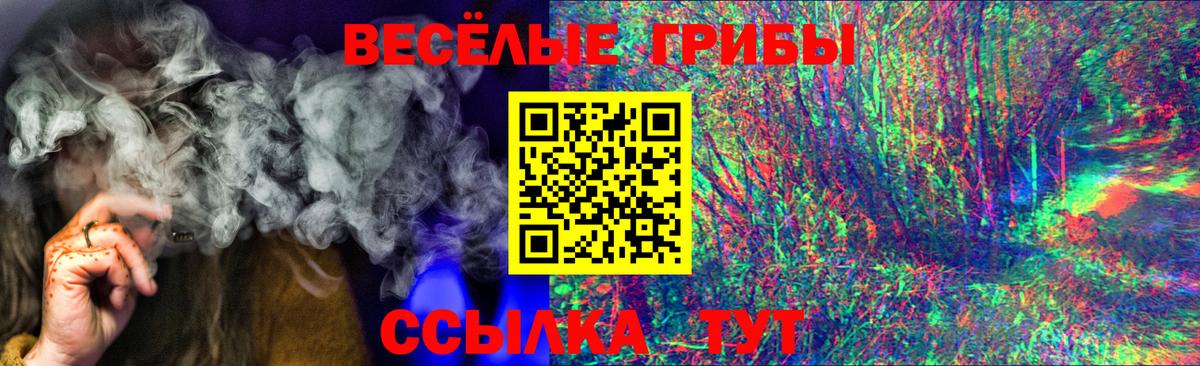 Кимовск  Псилоцибиновые грибы MAGIC MUSHROOMS  Вход с VPN  Галлюциногенные грибы Psilocybe 
