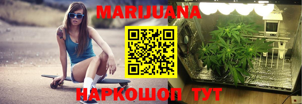 Шишки марихуана конопля Кимовск